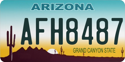 AZ license plate AFH8487