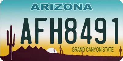 AZ license plate AFH8491