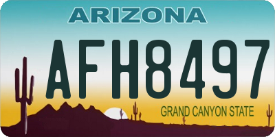 AZ license plate AFH8497
