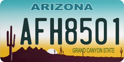 AZ license plate AFH8501
