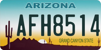 AZ license plate AFH8514