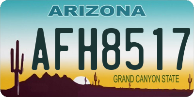 AZ license plate AFH8517