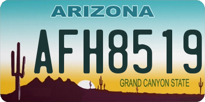 AZ license plate AFH8519