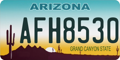 AZ license plate AFH8530
