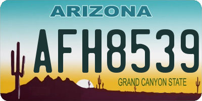 AZ license plate AFH8539