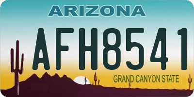 AZ license plate AFH8541