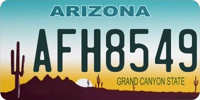 AZ license plate AFH8549