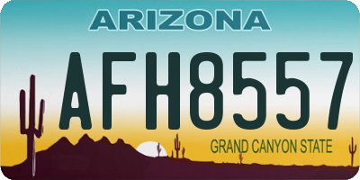 AZ license plate AFH8557