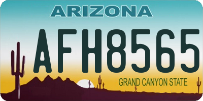 AZ license plate AFH8565