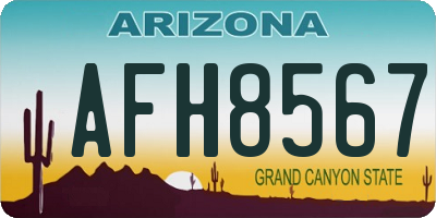 AZ license plate AFH8567
