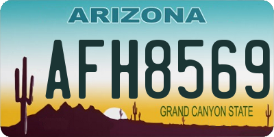 AZ license plate AFH8569