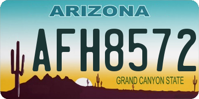 AZ license plate AFH8572