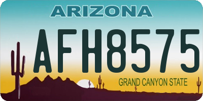 AZ license plate AFH8575