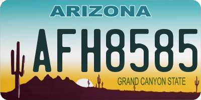 AZ license plate AFH8585
