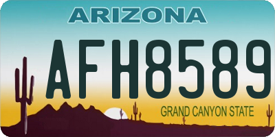 AZ license plate AFH8589