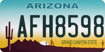 AZ license plate AFH8598
