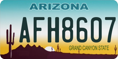 AZ license plate AFH8607