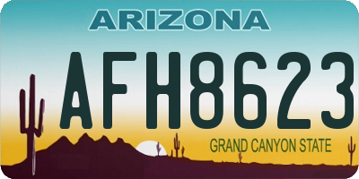 AZ license plate AFH8623