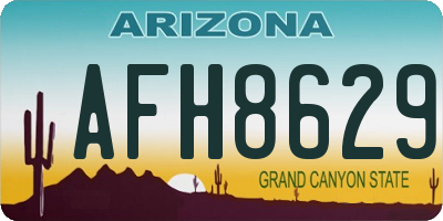 AZ license plate AFH8629