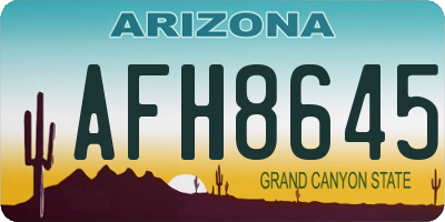 AZ license plate AFH8645