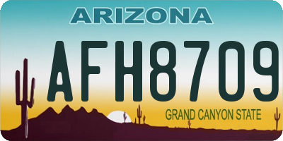 AZ license plate AFH8709