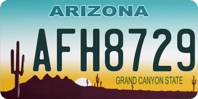 AZ license plate AFH8729