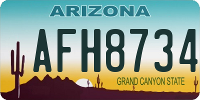 AZ license plate AFH8734