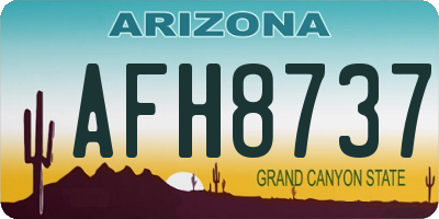 AZ license plate AFH8737