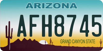 AZ license plate AFH8745
