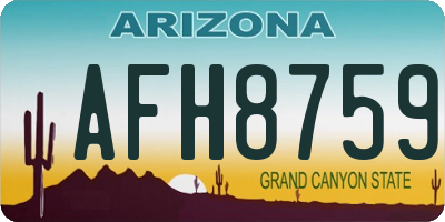AZ license plate AFH8759