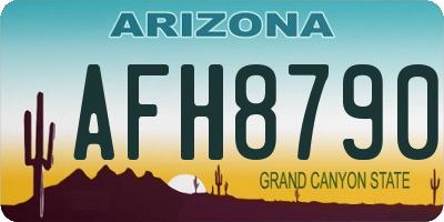 AZ license plate AFH8790