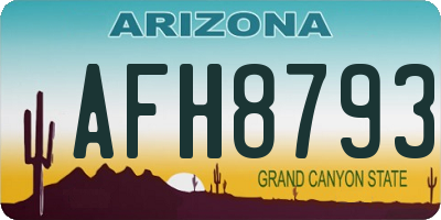 AZ license plate AFH8793