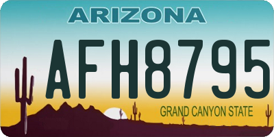 AZ license plate AFH8795