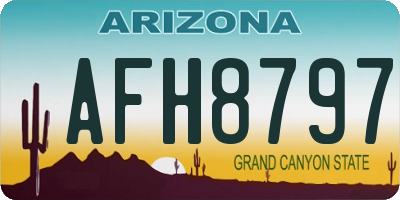 AZ license plate AFH8797