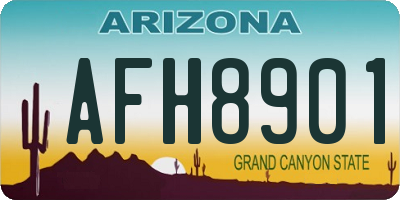 AZ license plate AFH8901
