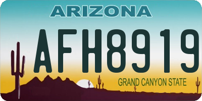AZ license plate AFH8919