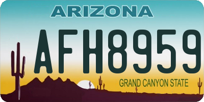 AZ license plate AFH8959
