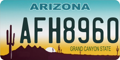 AZ license plate AFH8960