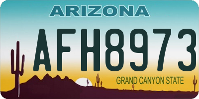 AZ license plate AFH8973