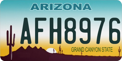 AZ license plate AFH8976