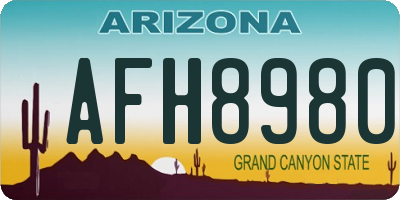 AZ license plate AFH8980