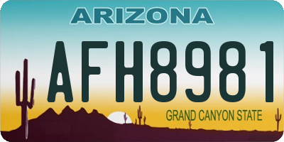 AZ license plate AFH8981