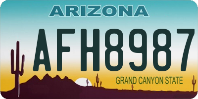 AZ license plate AFH8987