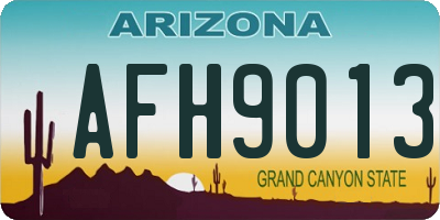 AZ license plate AFH9013