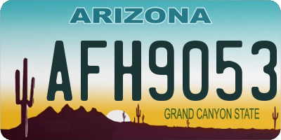 AZ license plate AFH9053