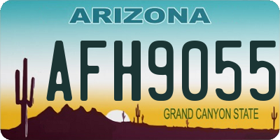AZ license plate AFH9055