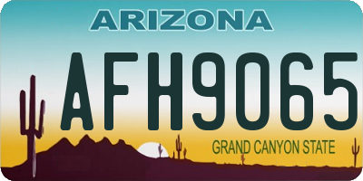 AZ license plate AFH9065