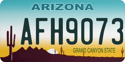 AZ license plate AFH9073