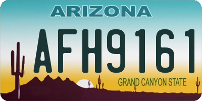 AZ license plate AFH9161