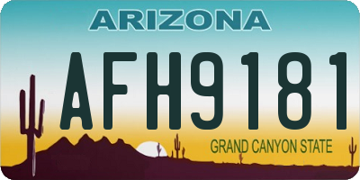 AZ license plate AFH9181